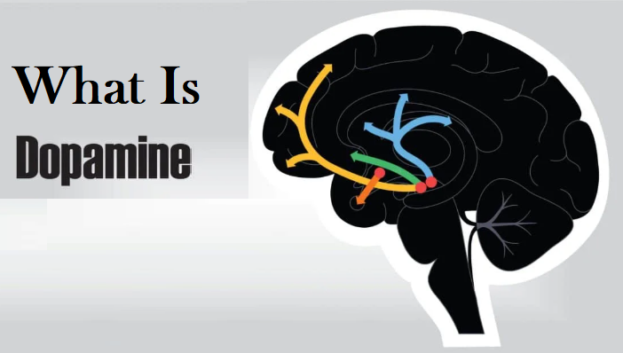 apa itu dopamine