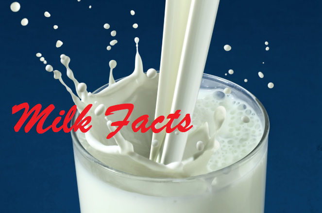 fakta mengenai susu