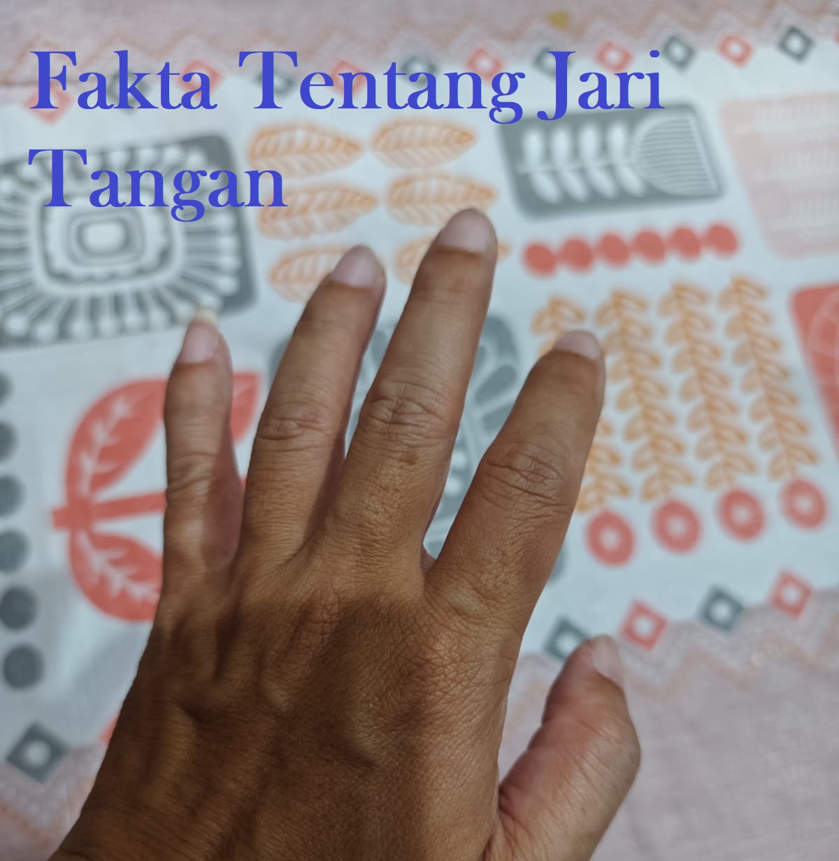 fakta tentang jari tangan